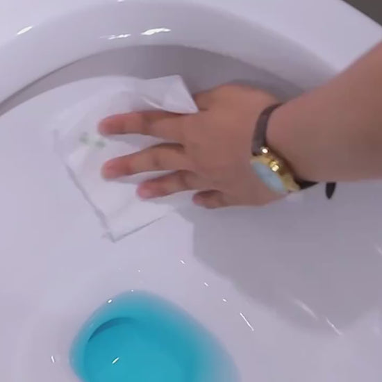 Toilet Toilet Fragrance Deodorant 12 Toilet Toilet