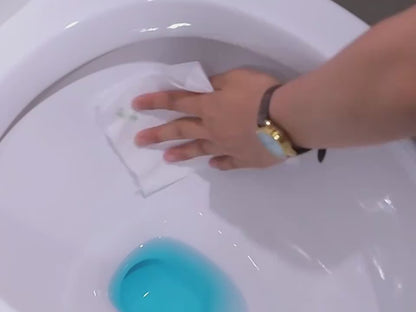 Toilet Toilet Fragrance Deodorant 12 Toilet Toilet